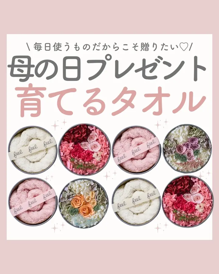feel DECOR L タオル3サイズ＋プリザーブドフラワー('26 新色