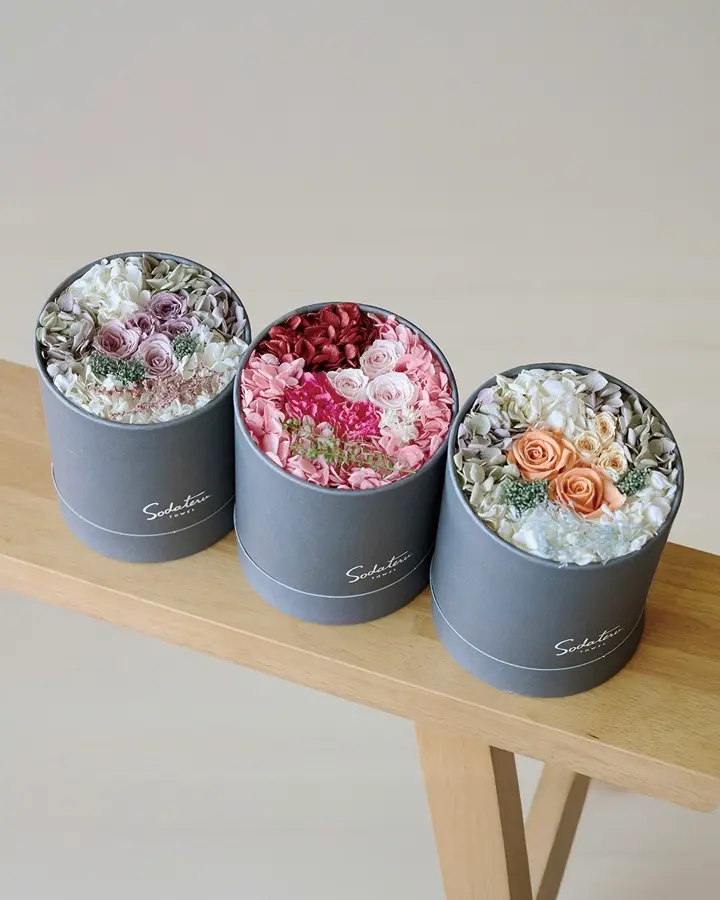 MOTHER'S DAY GIFT COLLECTION -母の日ギフト特集- – 育てるタオル