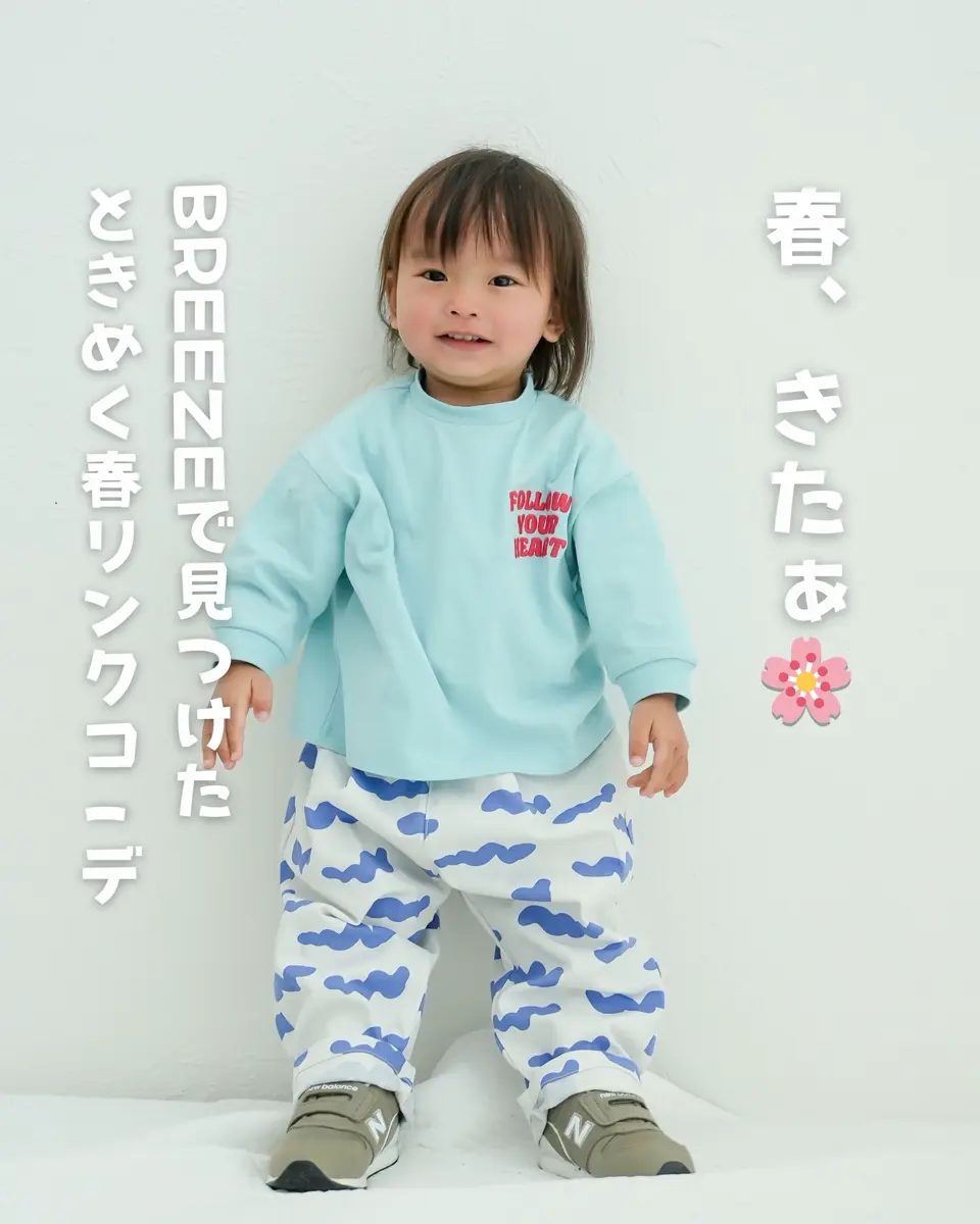 ☆SALE☆WEB限定 6柄6色シェフパンツ 10分丈（J121996）|BREEZE