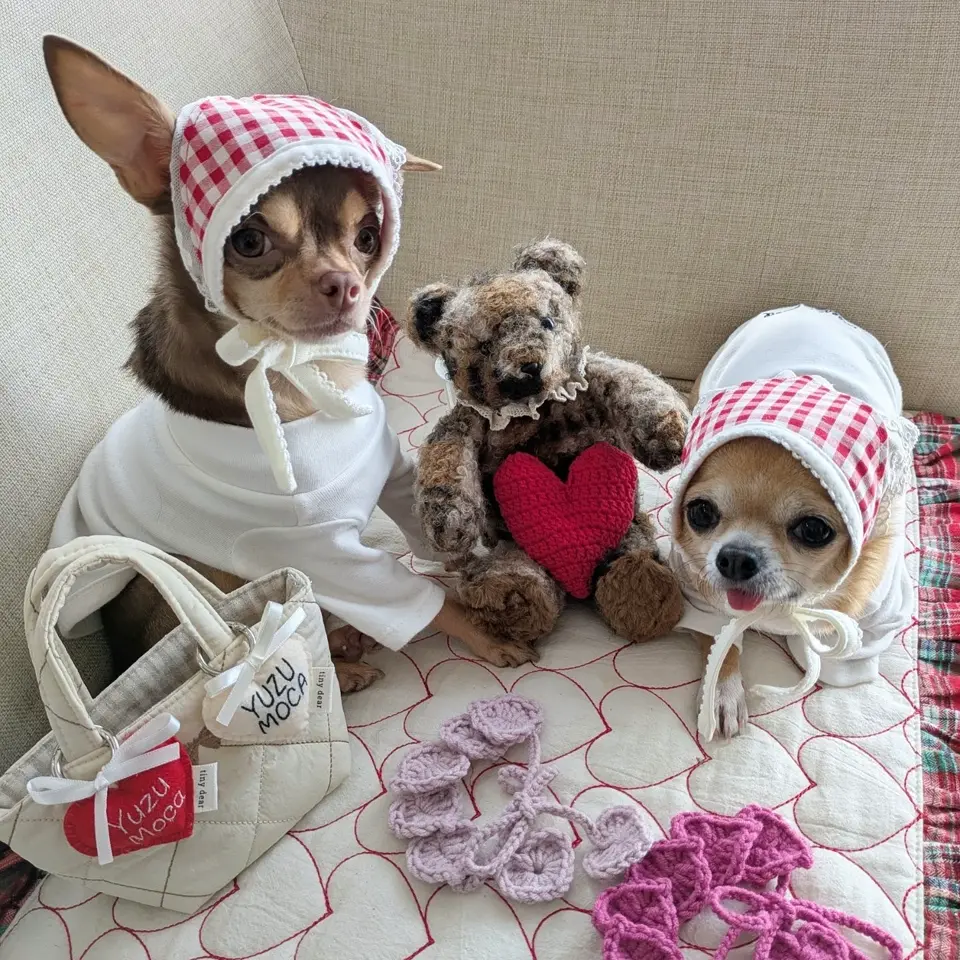 12mmギンガムチェック #217 トロピカルレッドで作った犬服の作品例