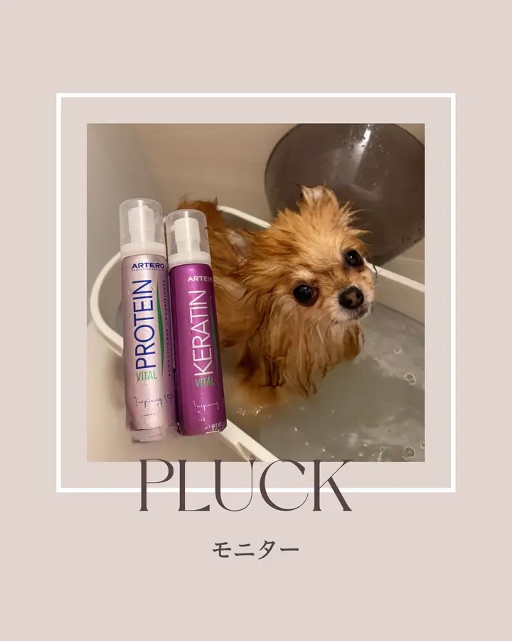 プロテインバイタルコンディショナー – PLUCK