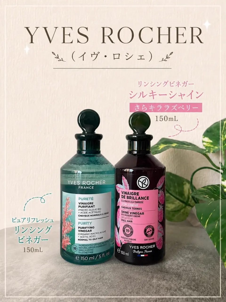 ベルセレージュ スパイス EG D ミネラルパウダー フゥットエッセンス 3点 ベルセレージュ スパイス EG D ミネラルパウダー フゥットエッセンス 3
