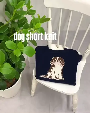 DOGショートニット | w closet(ダブルクローゼット)レディース