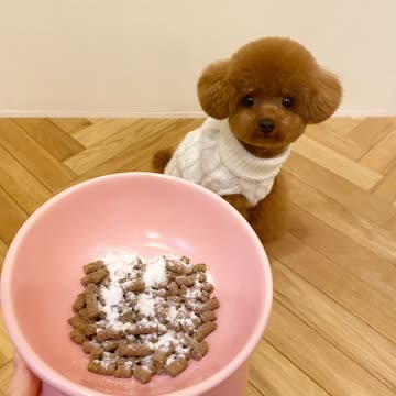 デンタルパウダー 30包入り✖️2袋 デンタルふりかけ（口腔ケアサプリ）（猫用） | 犬猫生活公式