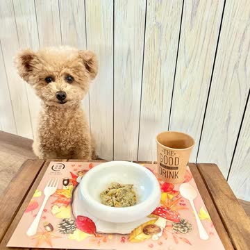 犬猫生活 犬用 手作りごはん （クール冷凍便） | 犬猫生活公式