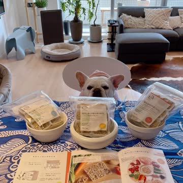 UPページ　犬猫生活手作りフードフィッシュ16袋 楽天市場】＼最大20%オフ 24日 01:59まで／ 【犬猫生活】犬の