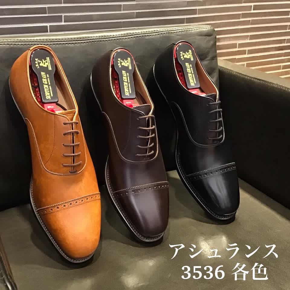 3536BR（EEE） | スコッチグレイン｜SCOTCH GRAIN｜オフィシャル