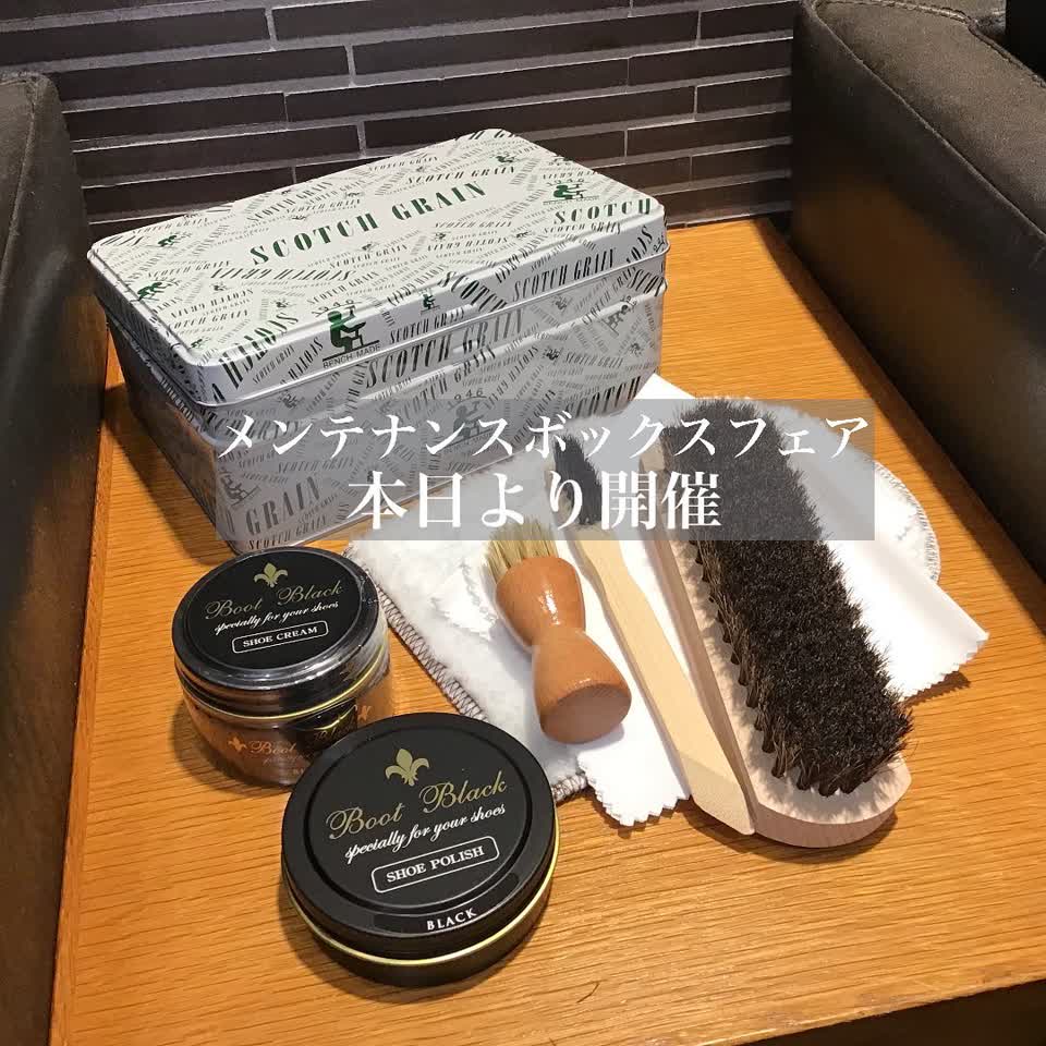 ⭐︎Kota⭐︎【新品】SCOTCH GRAIN｜F4016BL（EEEE） 4016BL（EEEE） | スコッチグレイン｜SCOTCH GRAIN