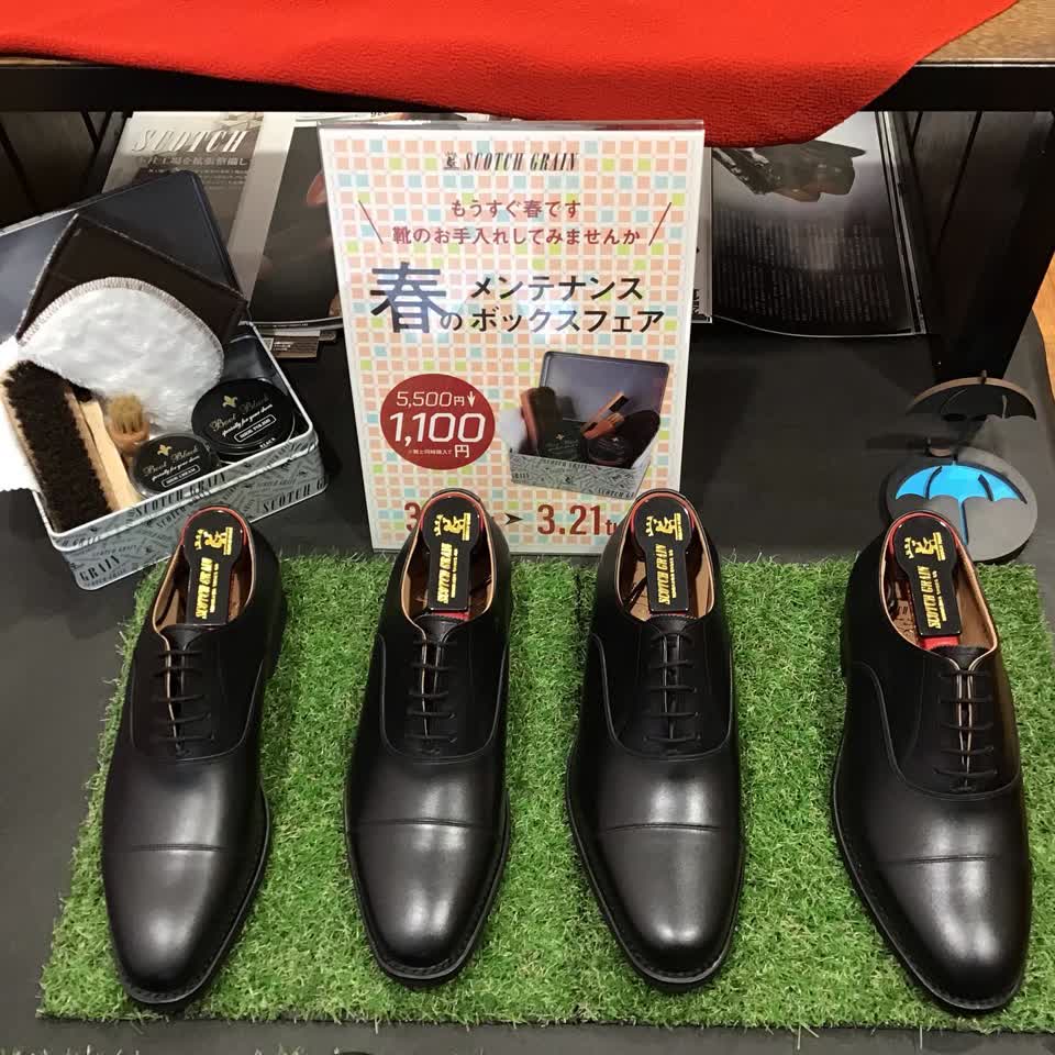 2726BL（EEE） | スコッチグレイン｜SCOTCH GRAIN｜オフィシャル  