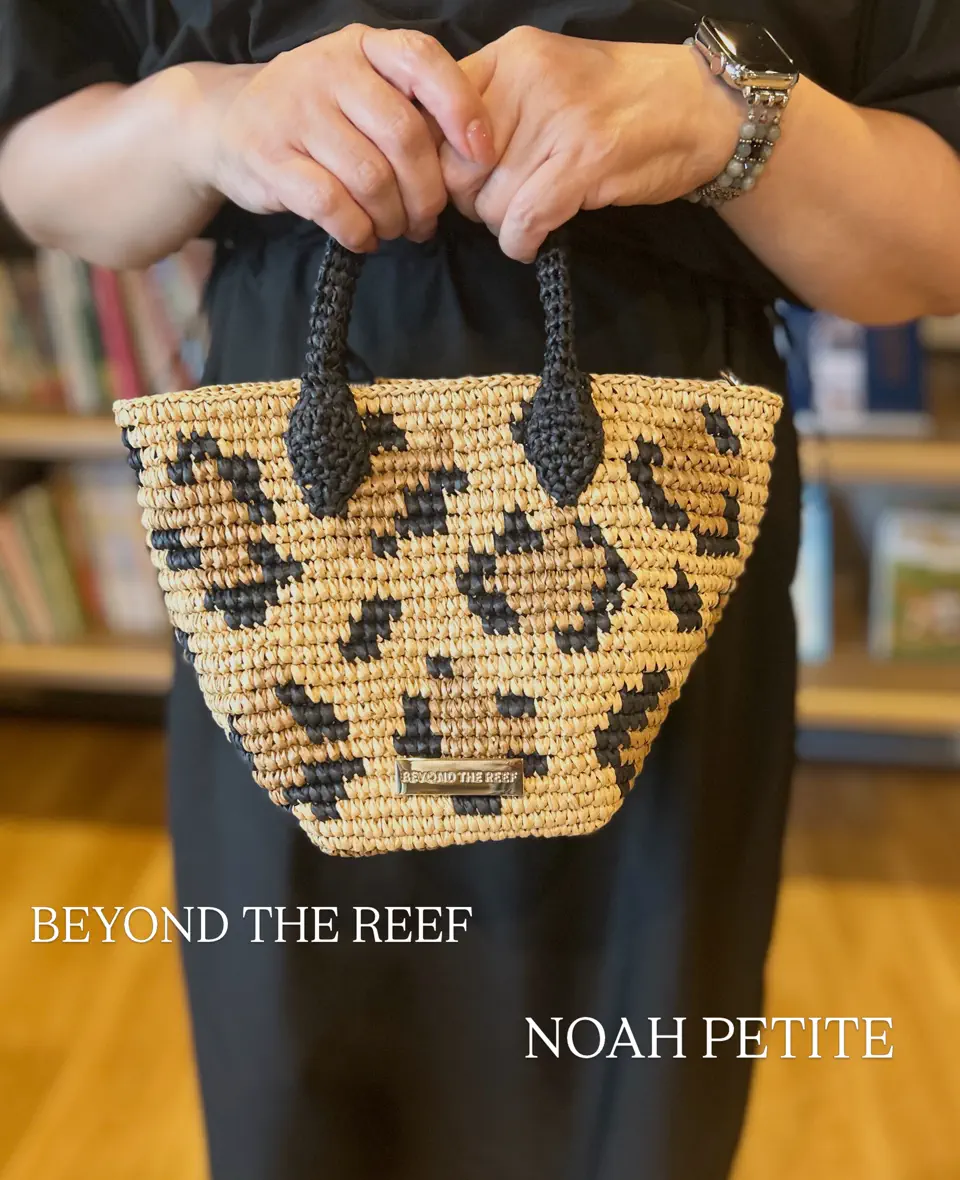 Noah / ノア – BEYOND THE REEF