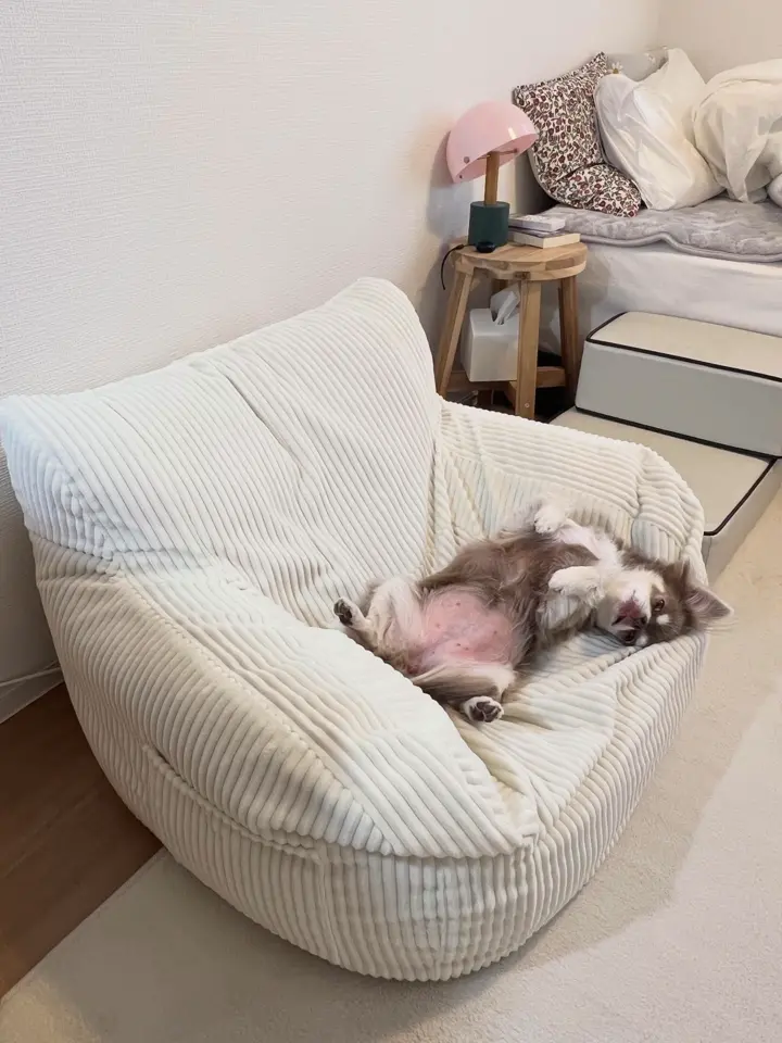 LOOSY（ルージー） 体をやさしく包み込むビーズソファ – Little Rooms