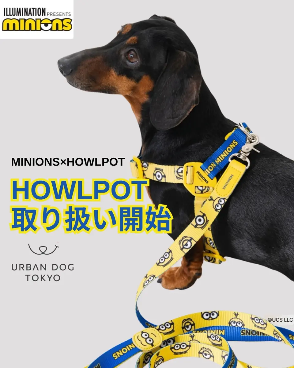 urbandogtokyoの投稿(1432837606495760384)