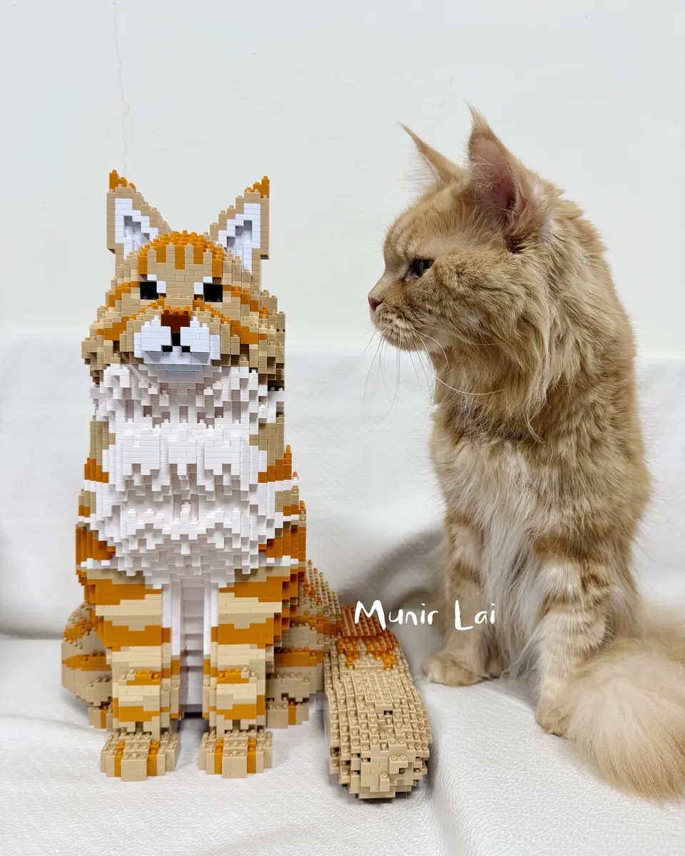 ねこ 13S-M01 – JEKCA-SHOP
