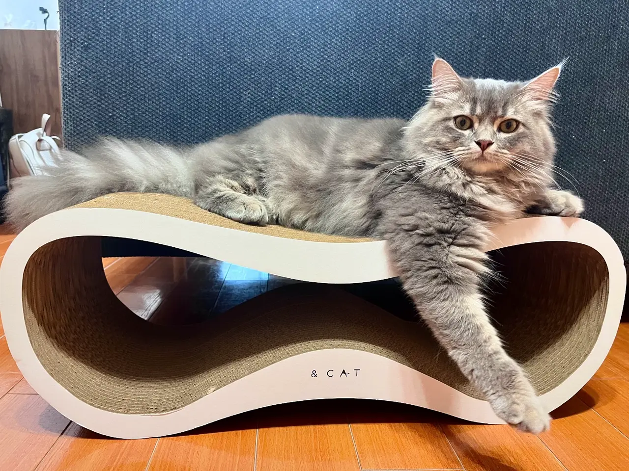 &CAT】AC SCRATCHER LOUNGE（爪とぎ）/ホワイト Pets-first ONLINESTORE