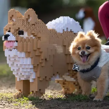 17959870877416141_t_360.webp?