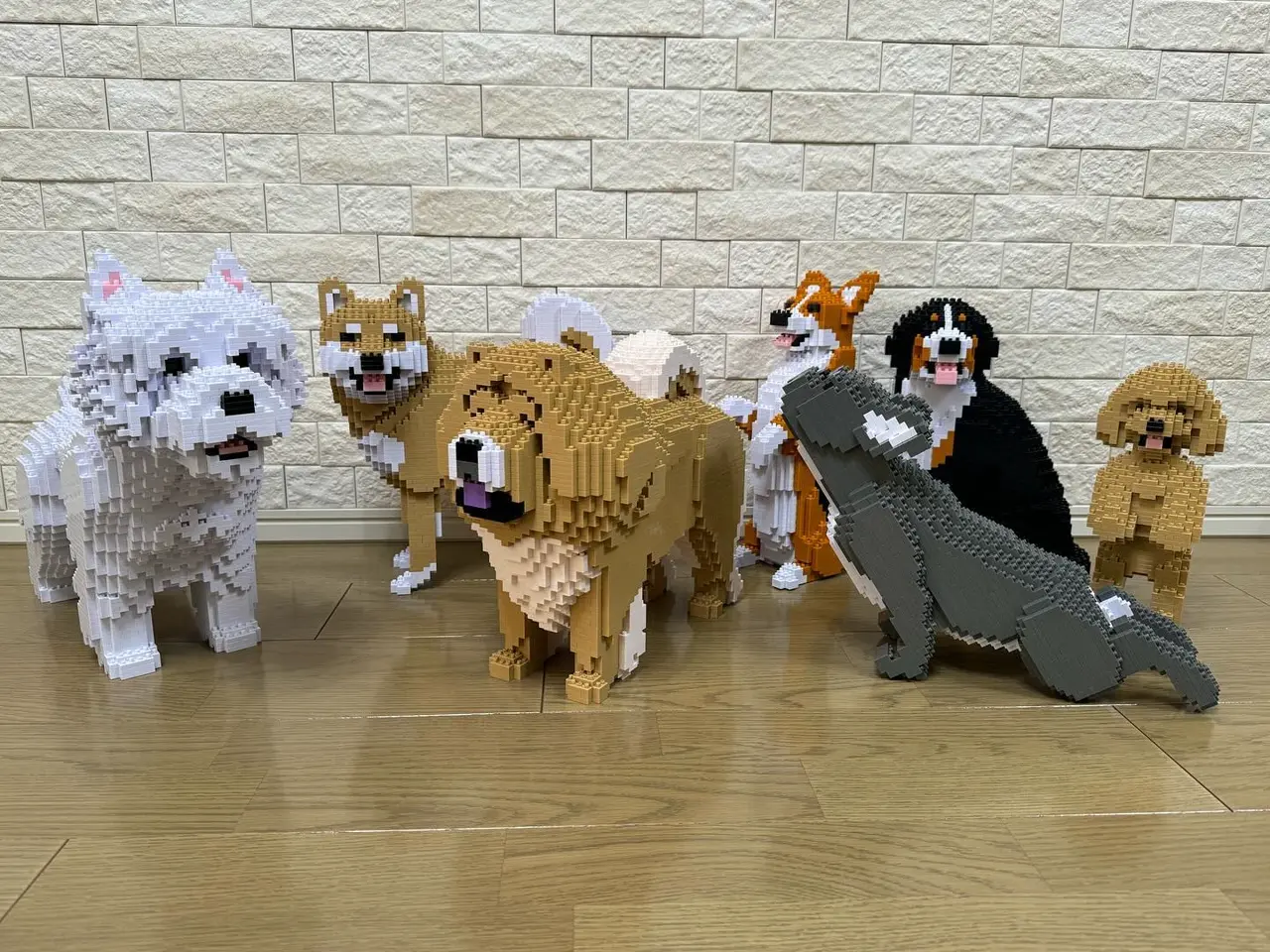 Chow Chow 02-M03 - JEKCA | Plastic Building Blocks for Kidults