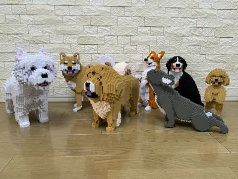 Chow Chow 02-M03 - JEKCA | Plastic Building Blocks for Kidults