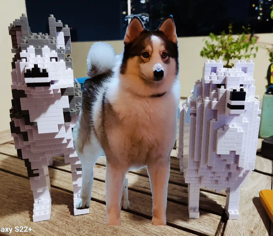 Husky 01-M01 - JEKCA | Plastic Building Blocks for Kidults