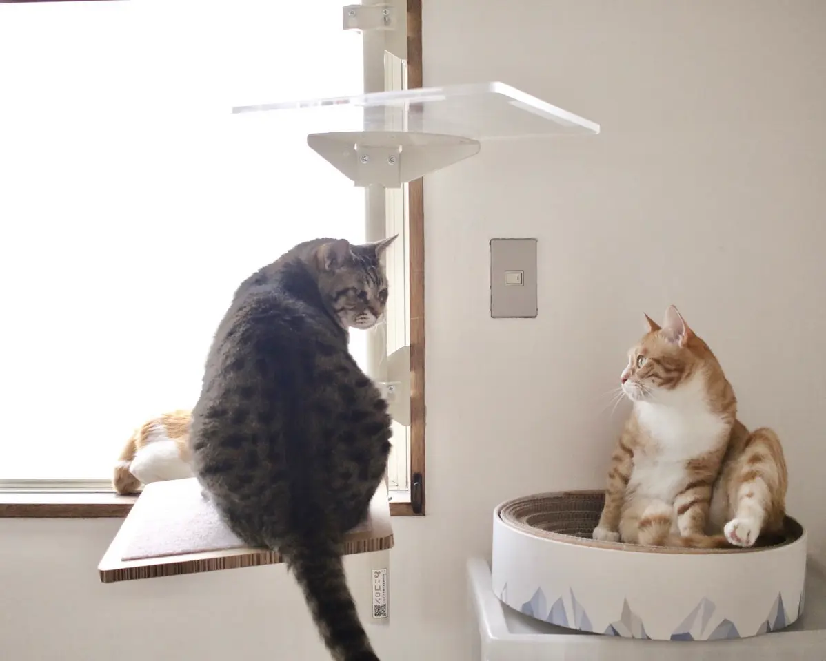 ユニークライフ】|キャットタワー|Uniquelife | 設置例100選 ユニークライフ】|キャットタワー|Uniquelife | 設置例100選