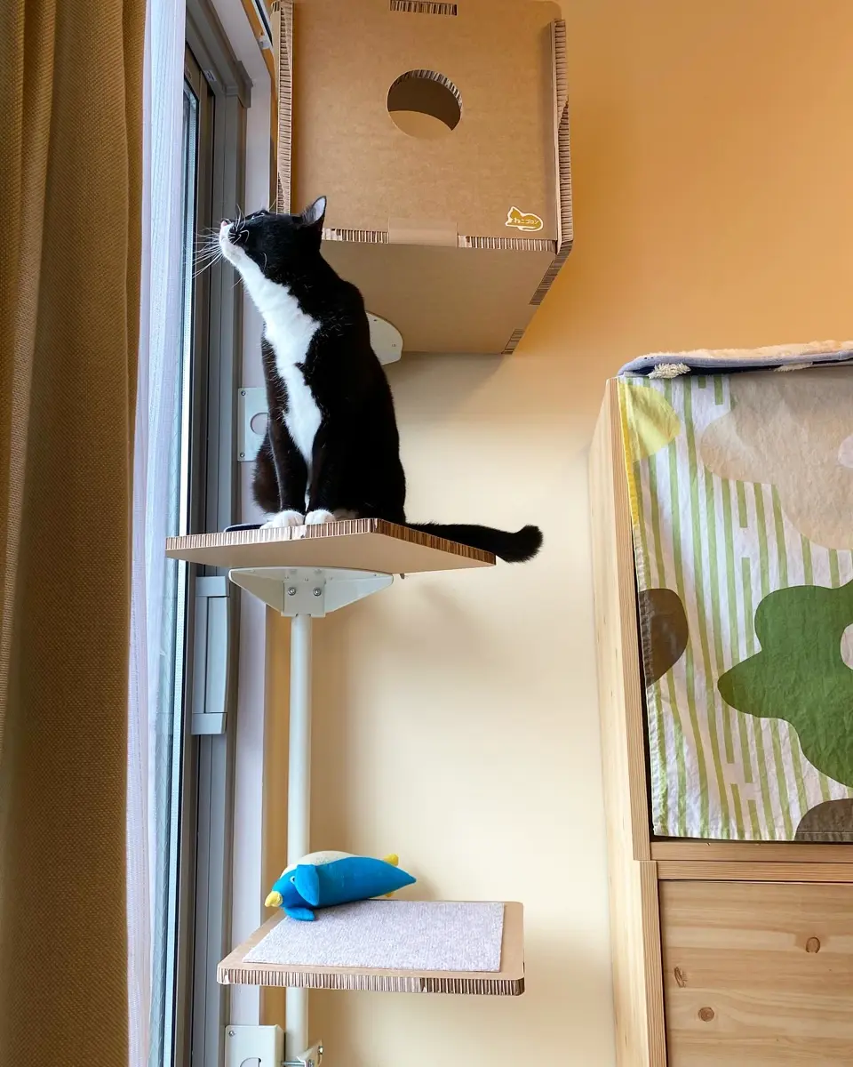 公式】[【公式】キャットタワー本体(ブラウン)＋ボックス(ブラウン