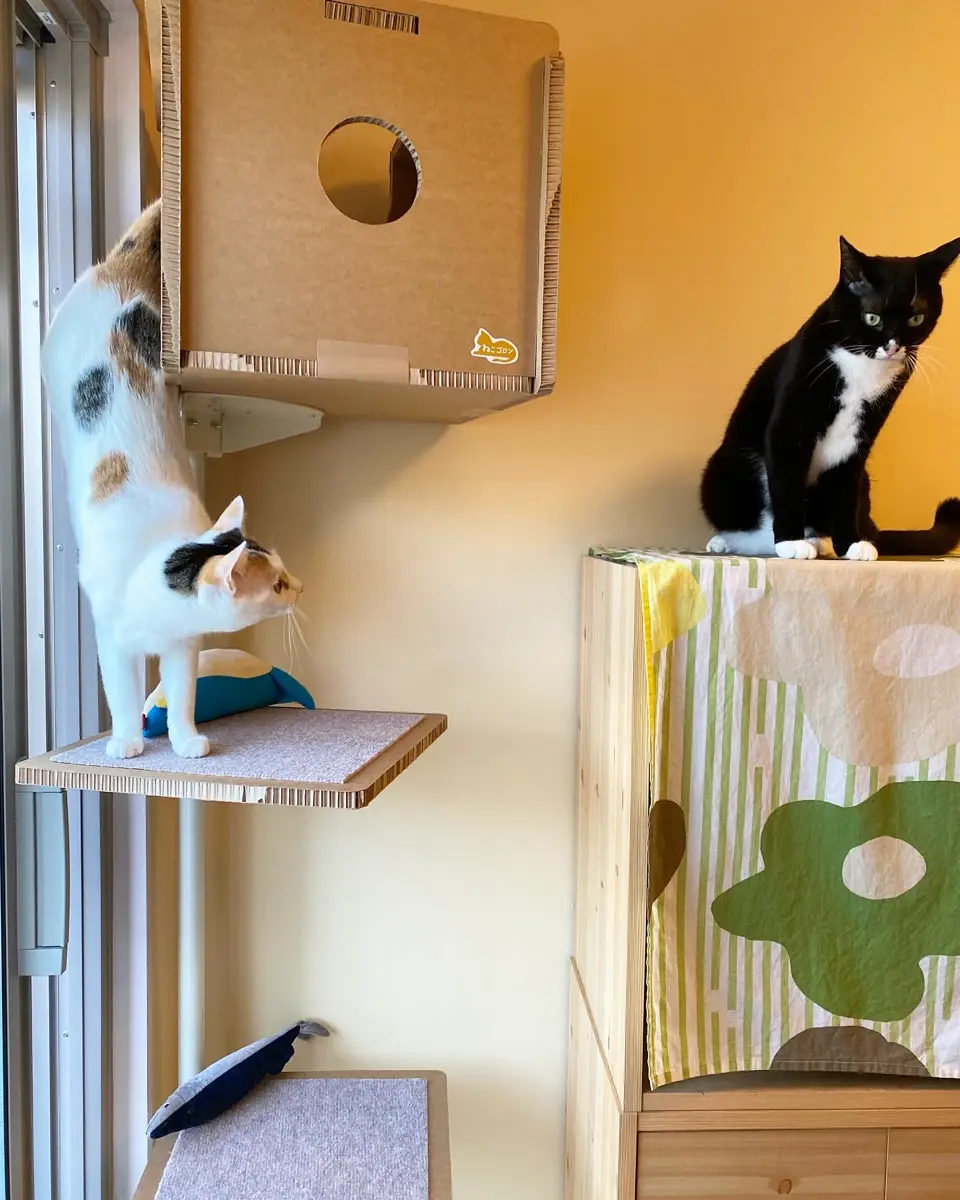 ねこゴロン カスタムパーツセット｜窓辺を彩る交換棚板＆ボックス全6