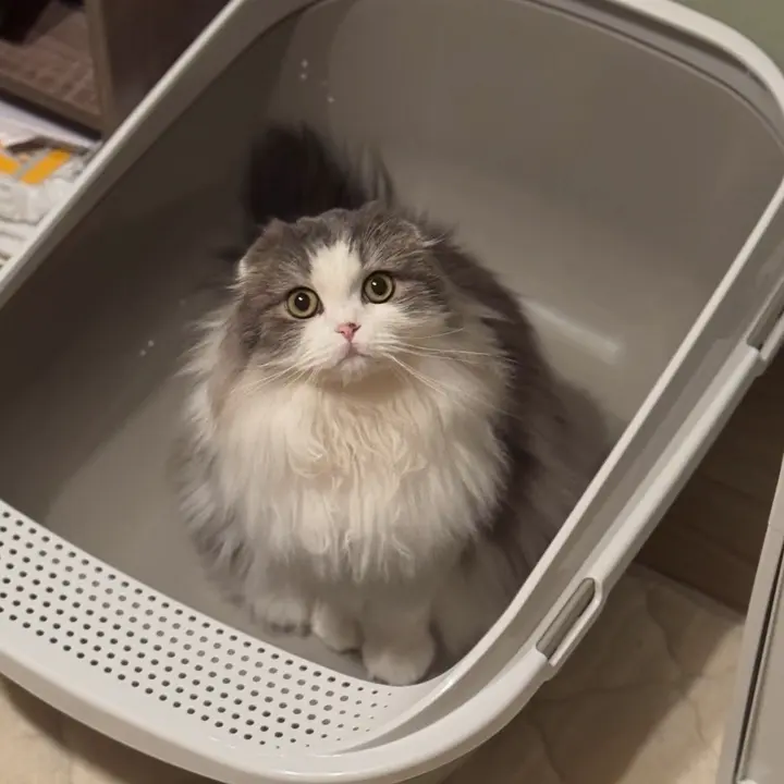 ペット用品の通販 OFT STORE（オーエフティーストア）公式サイト