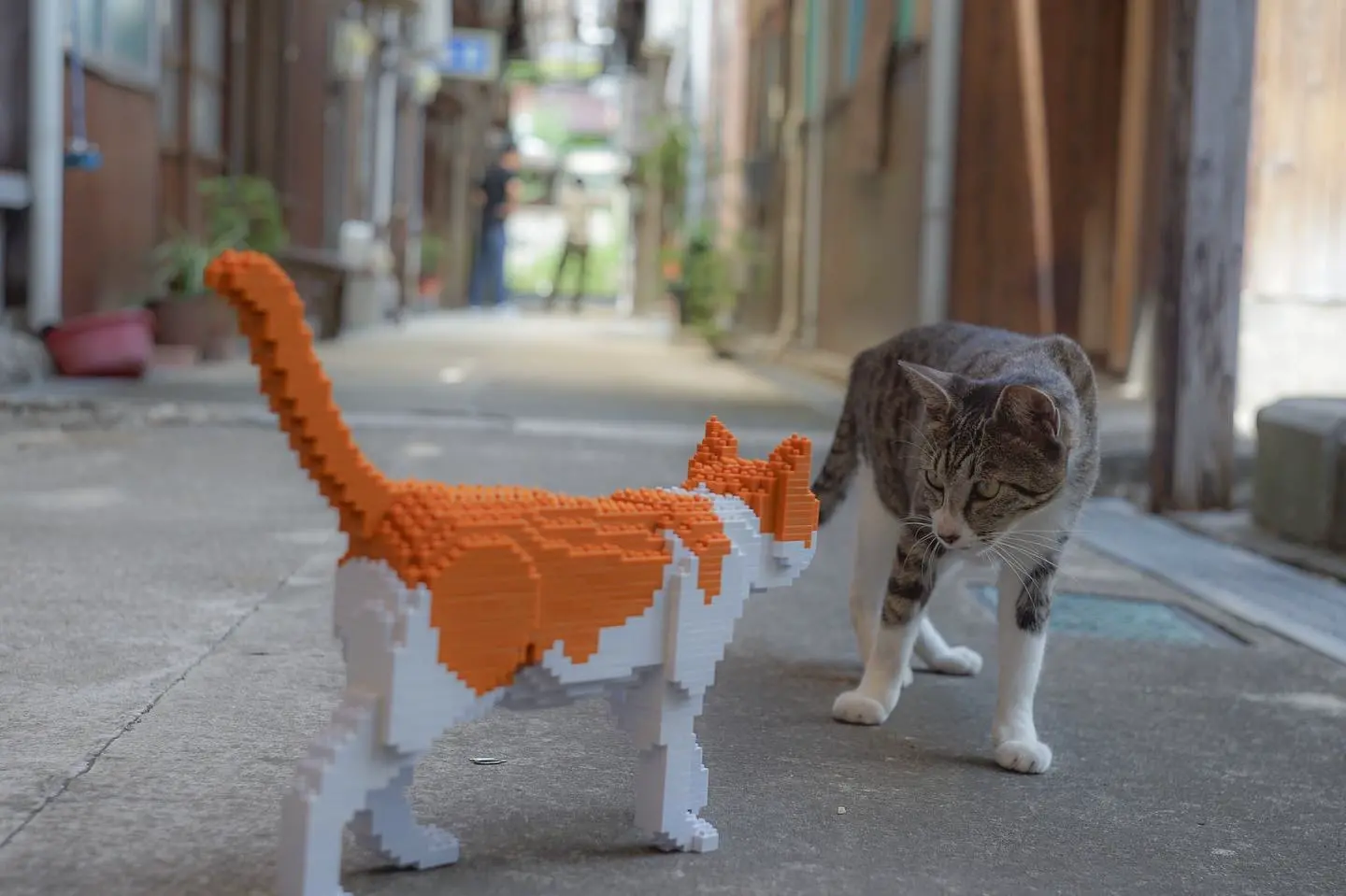 JEKCA EU - Cat 11S-M03 | Plastic Building Blocks for Kidults