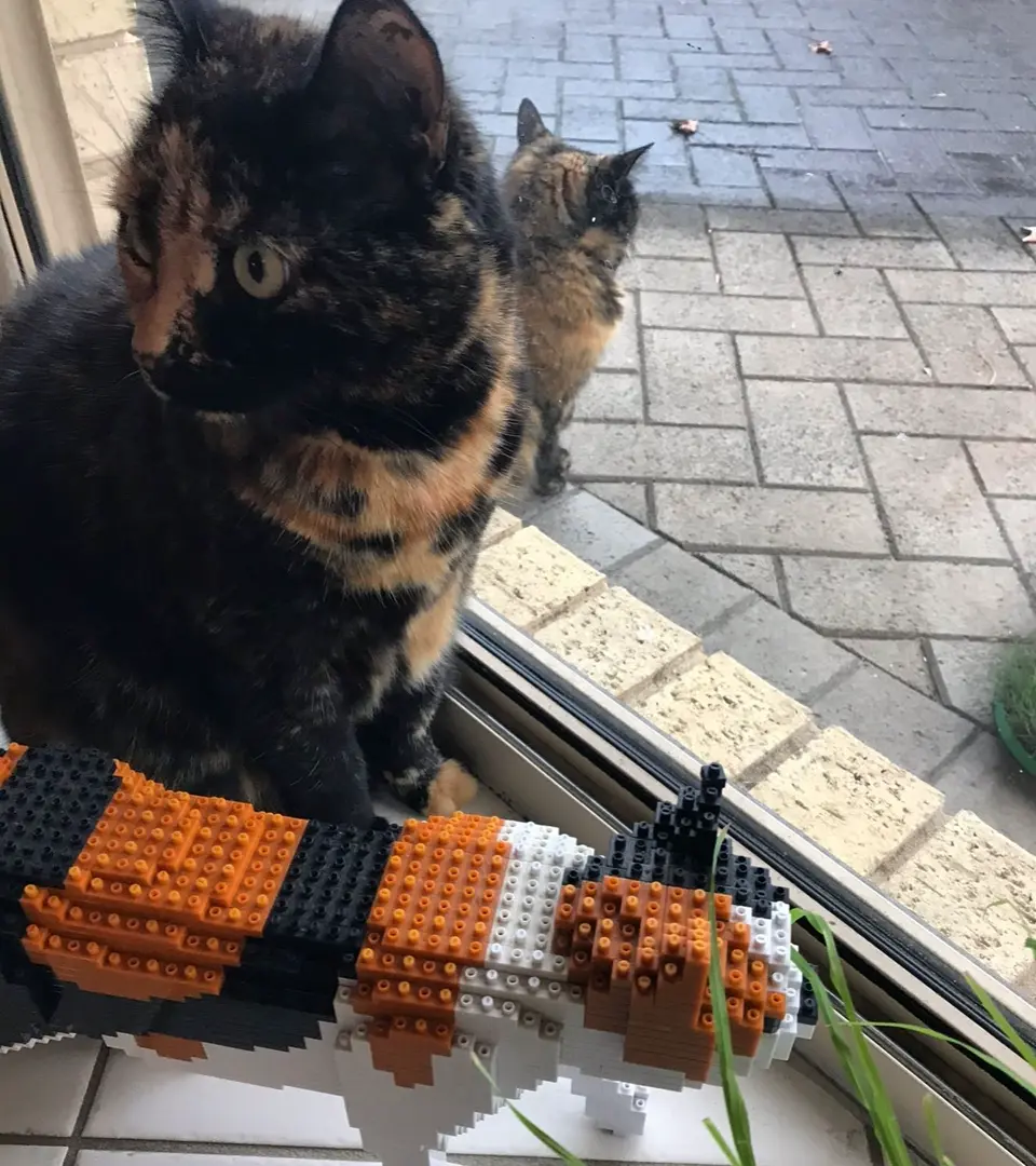 JEKCA EU - Cat 11S-M03 | Plastic Building Blocks for Kidults