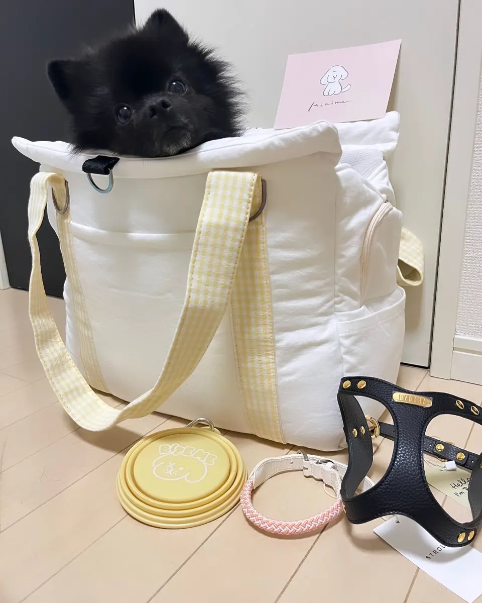 Rope Collar New Lilac（Coral）｜犬用ロープ首輪