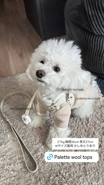 MINIME♡ハーネス&リード 犬用ハーネス 負担が少ない 着脱簡単 革