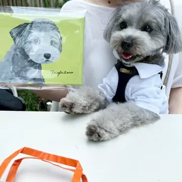 犬用ハーネス 負担が少ない 着脱簡単 革