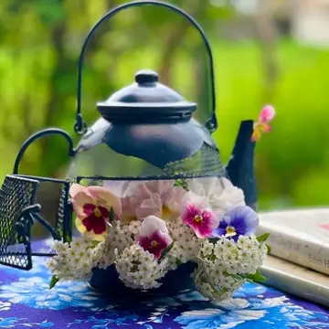 ティーパーティー蚊やり 通販 - ディノス