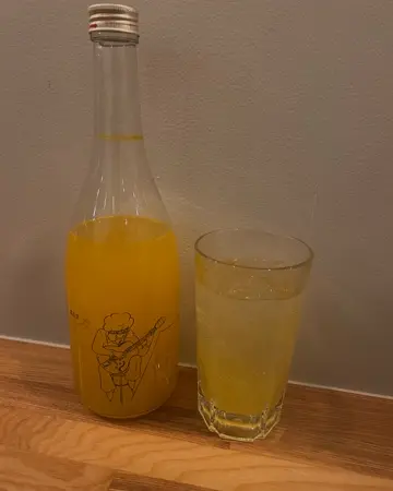 りんこ 子宝 山形りんご 720ml｜山形県産 もぎたての瑞々しさ 【楯の川