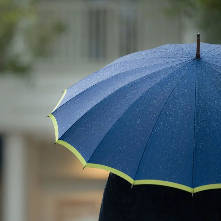 おしゃれな傘の通販ならトンボ洋傘前原光榮商店オンラインショップ