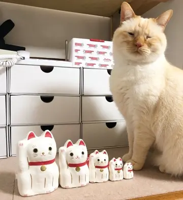 顔が美しい　ヴィンテージ招き猫　白 61IeJ2+94HL._UF350,350_QL50_.jpg