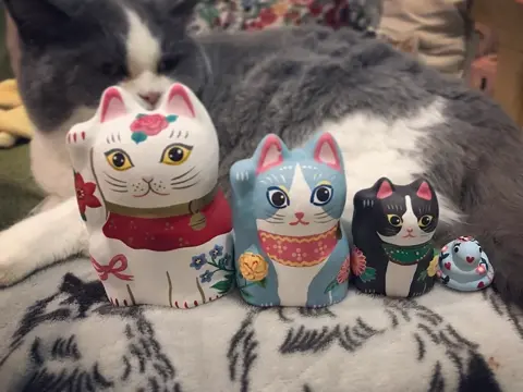 アフタヌーンティー｜招き猫ディスプレイ - ハリコ オンライン