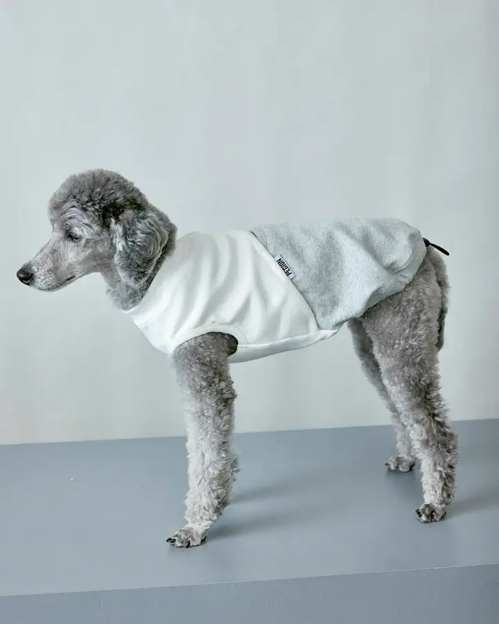 おしゃれなドッグウェア(犬服)ブランド・犬用品グッズの公式通販ならPEGION