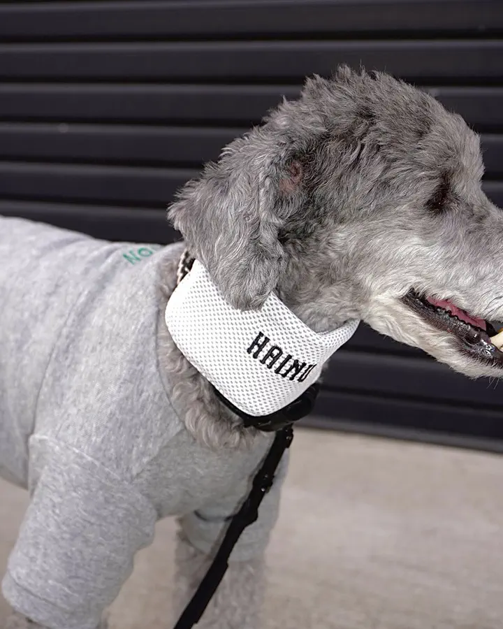 おしゃれなドッグウェア(犬服)ブランド・犬用品グッズの公式通販ならPEGION