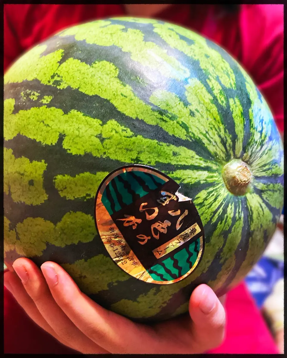 新潟直送計画】南魚沼産スイカ – 要屋ファーム