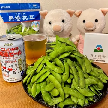 新潟直送計画】新潟産 黒埼茶豆 – 青木農場