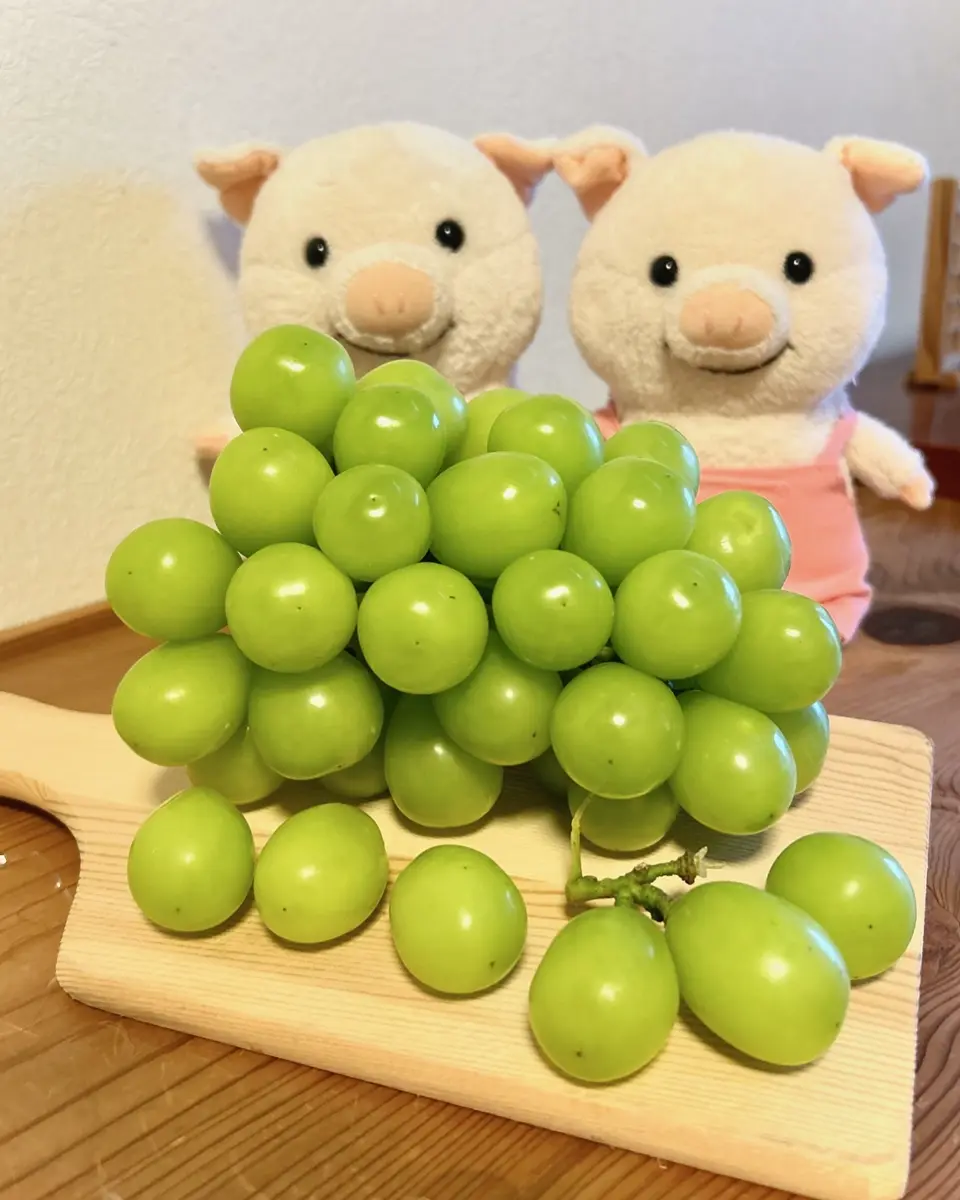新潟直送計画】新潟県産シャインマスカット – Ripi farm