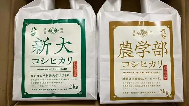 新潟米 新潟直送計画】令和6年度米 新大農学部コシヒカリセット – 新潟