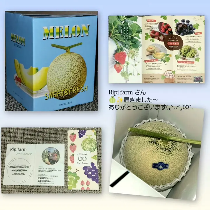 新潟直送計画】アールスメロン（贈答用・家庭用） – Ripi farm