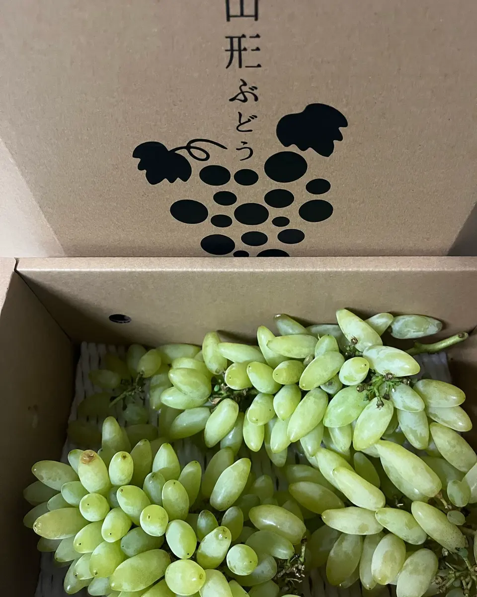 山形直送計画】山形県産ぶどう ピッテロビアンコ – 松田農園