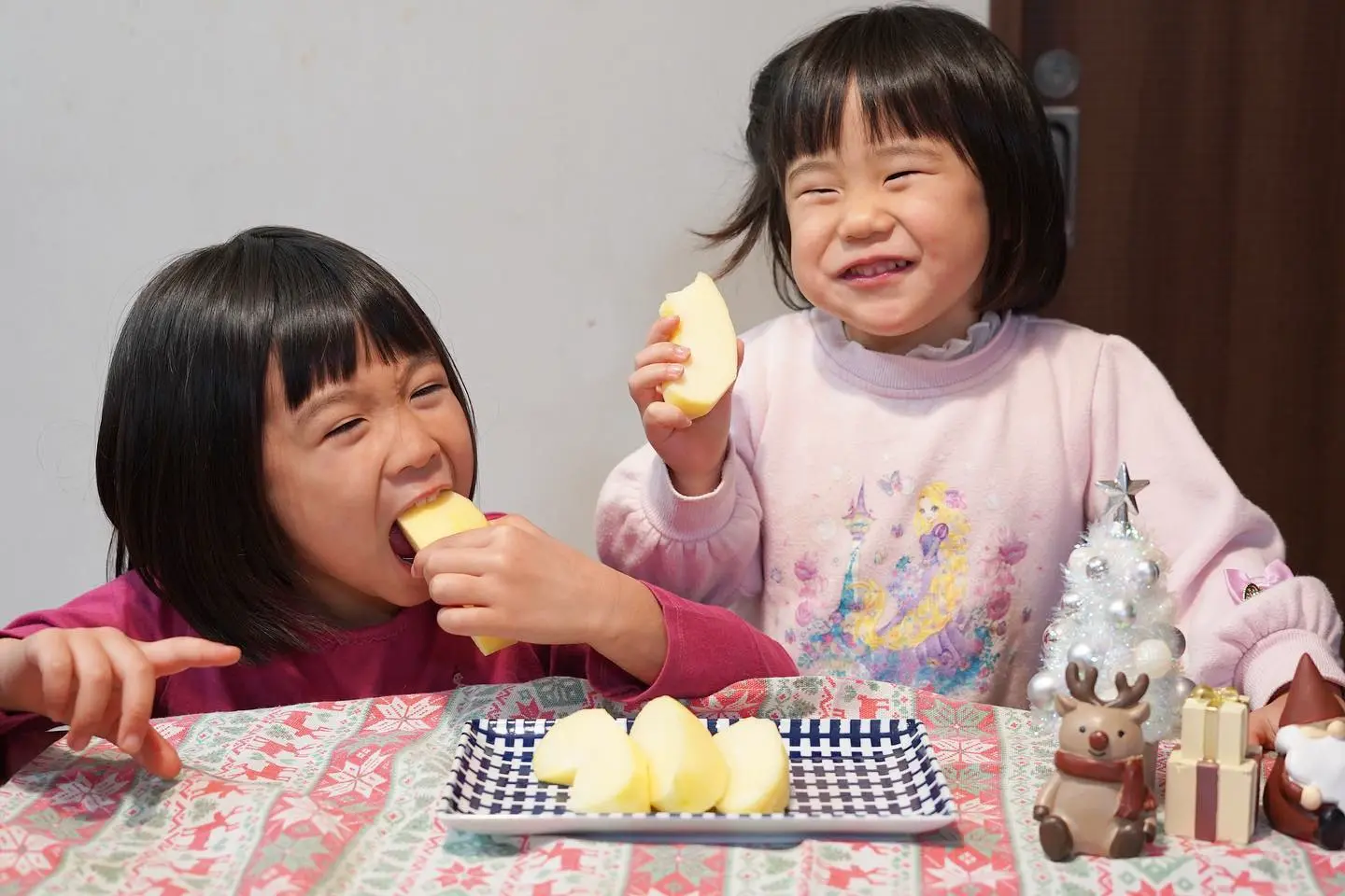 山形直送計画】山形県産 りんご（贈答用・家庭用） – りんごの