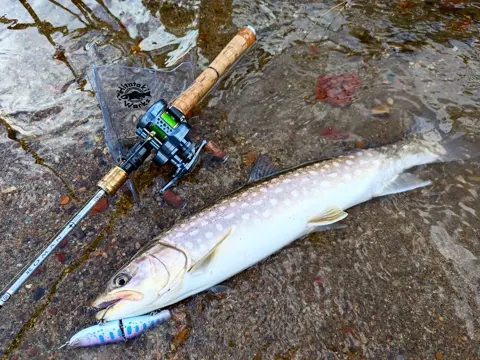 17988236411748686_t_360.webp?