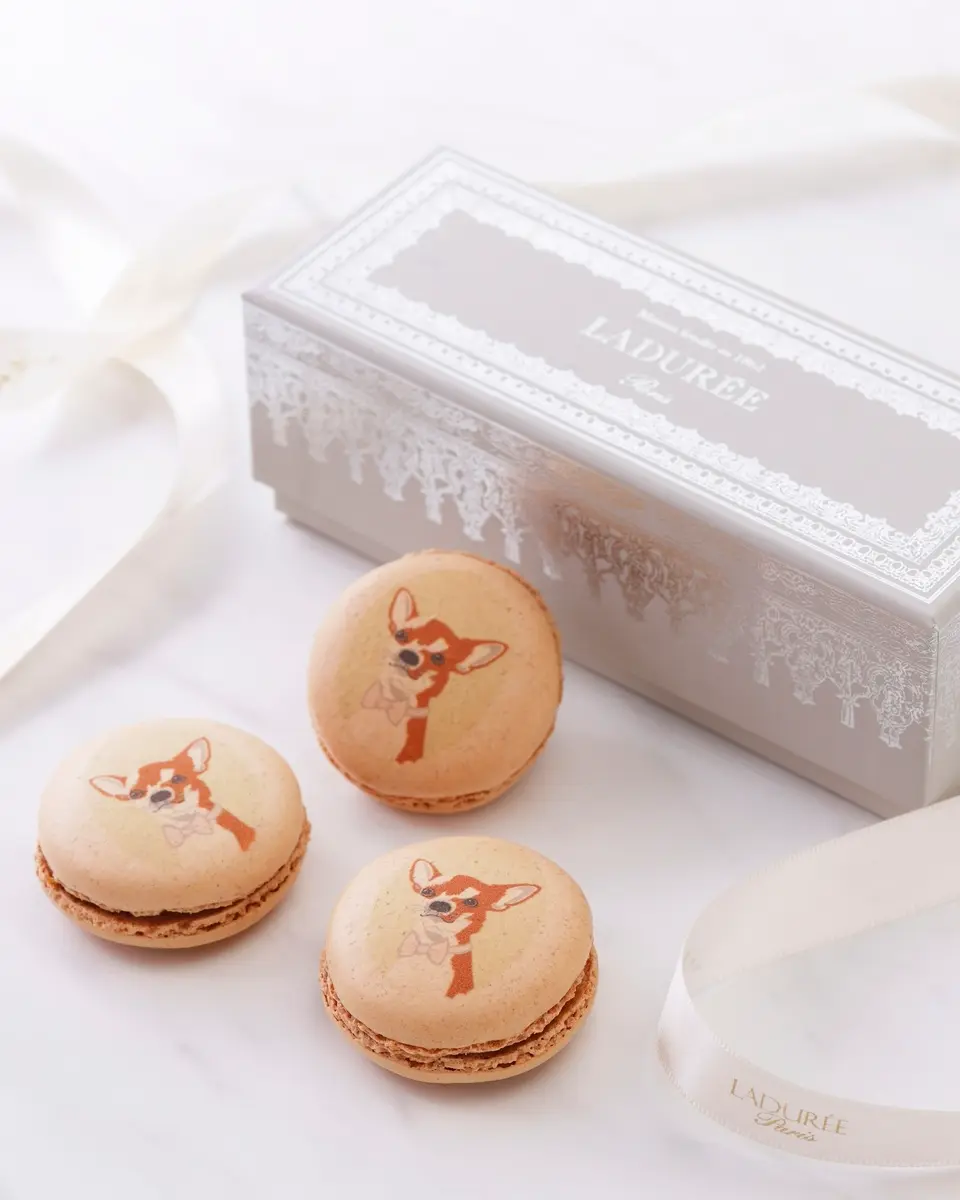 ♡LADUREE♡さま専用★ ラデュレ – AOYAMA GIFT SALON
