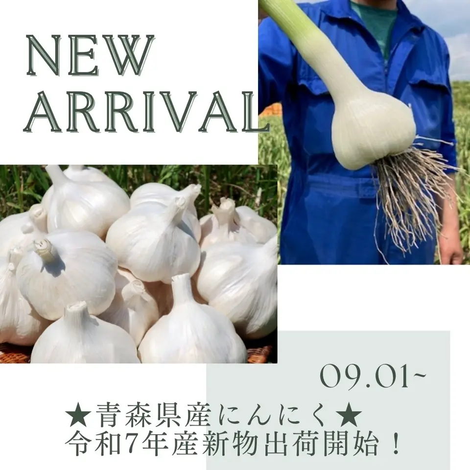 令和7年宮城県産にんにくホワイトS10kg 令和7年宮城県産にんにくホワイトS10kg にんにく【宮城県登米市産
