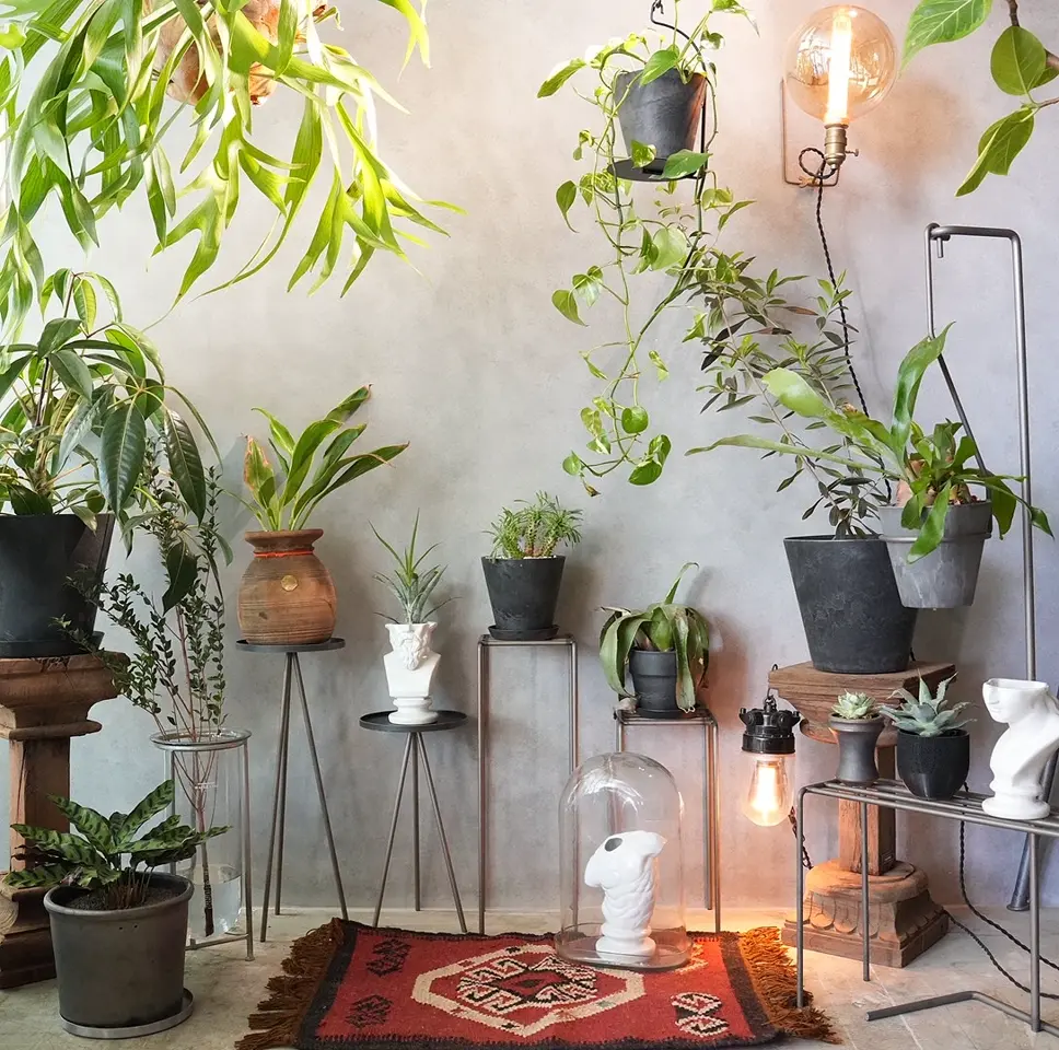 KNOP Plant Stands S.M.L Set