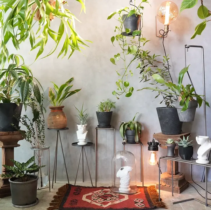 KNOP Plant Stands S.M.L Set